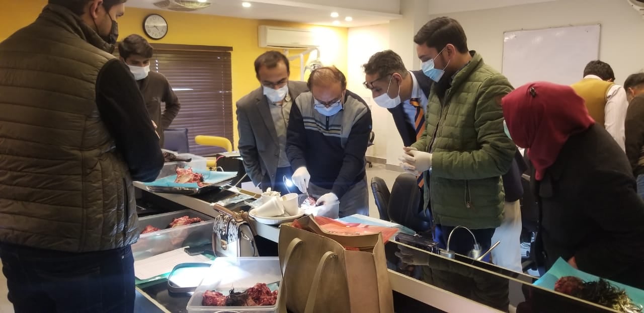 475801786_4001850253367853_8575356366315563093_n