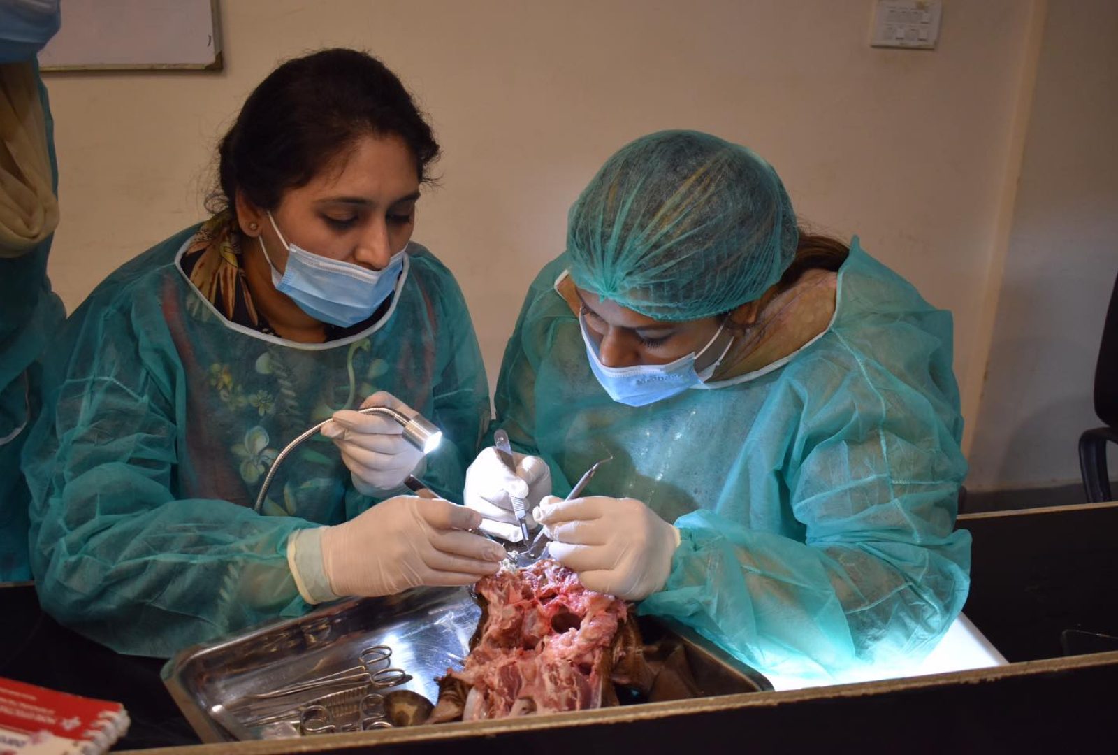 487873834_112689fslfpkwpfkpwkf6359452655_6325509739082633514_n